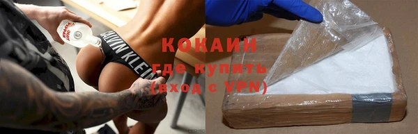 прущие грибы Аркадак