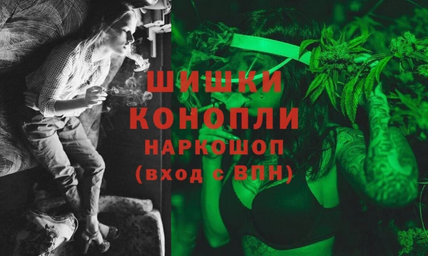 прущие грибы Аркадак