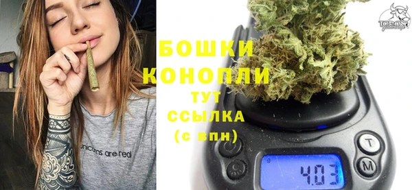 прущие грибы Аркадак