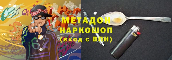 прущие грибы Аркадак