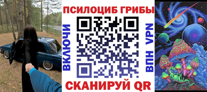 Галлюциногенные грибы Psilocybe Дивногорск